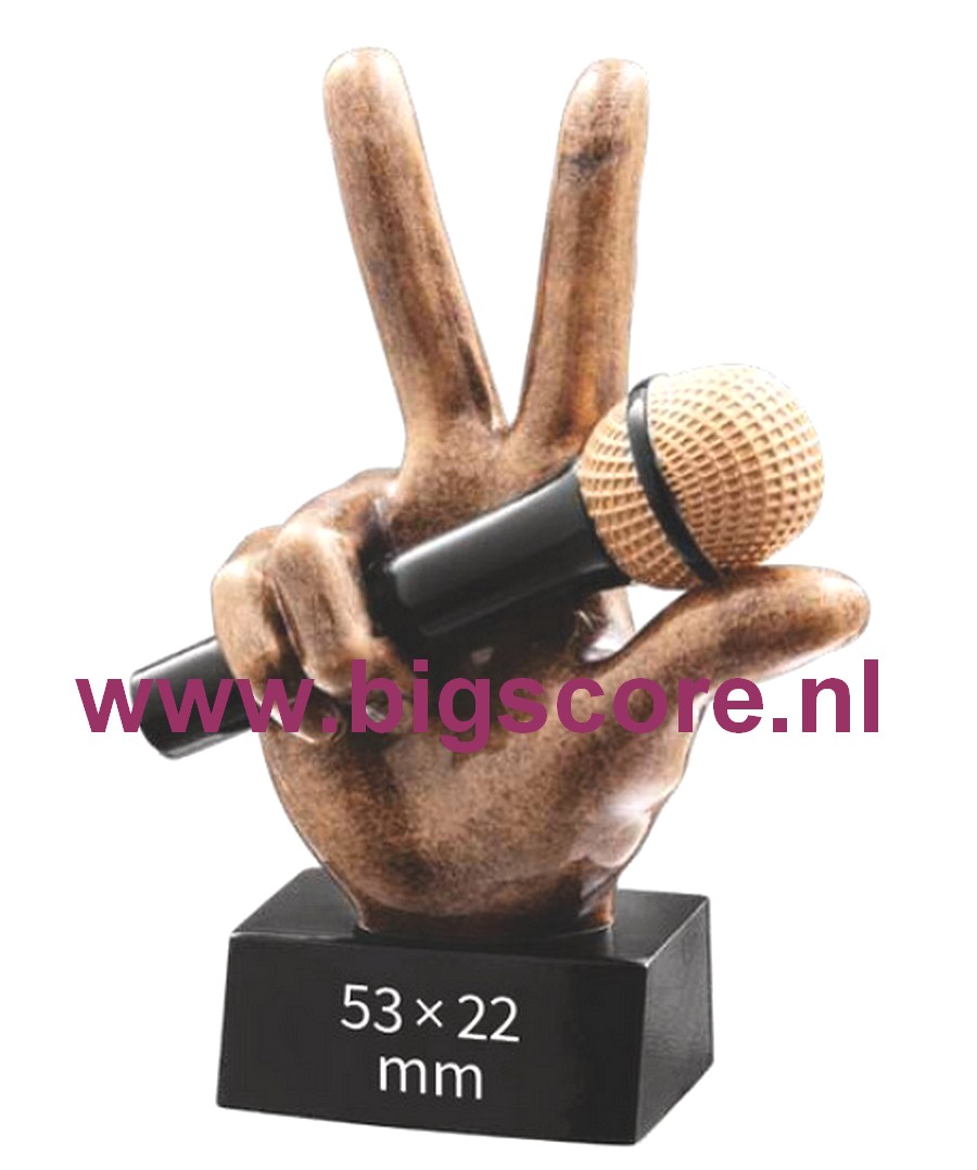 Muziek Playback BSST 39808